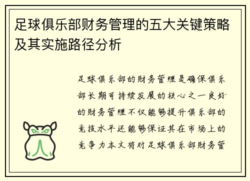 足球俱乐部财务管理的五大关键策略及其实施路径分析
