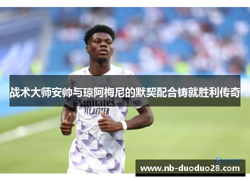战术大师安帅与琼阿梅尼的默契配合铸就胜利传奇