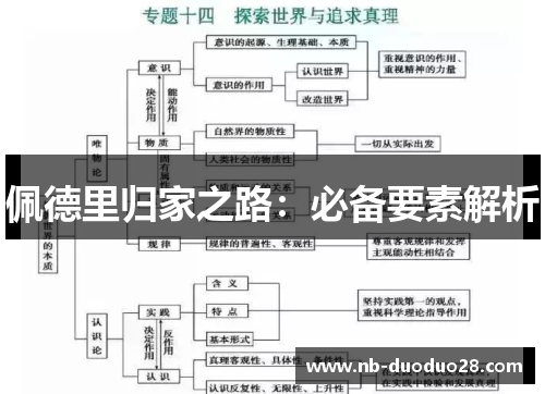 佩德里归家之路：必备要素解析