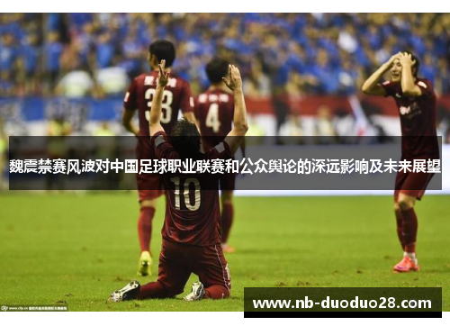魏震禁赛风波对中国足球职业联赛和公众舆论的深远影响及未来展望