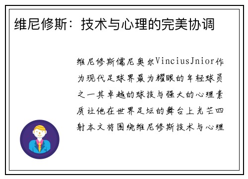 维尼修斯：技术与心理的完美协调