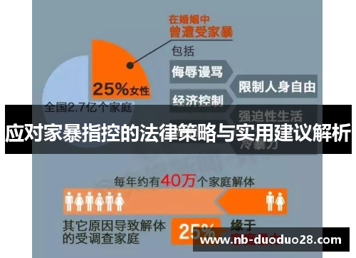 应对家暴指控的法律策略与实用建议解析