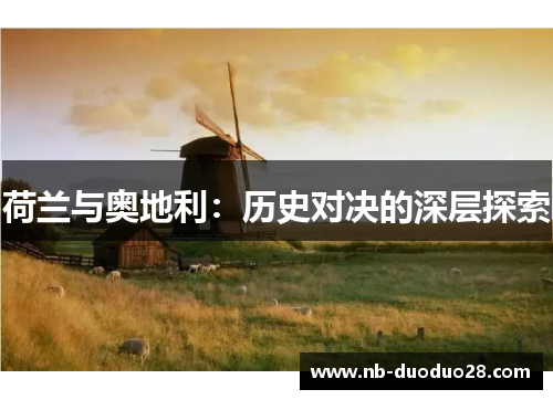荷兰与奥地利：历史对决的深层探索