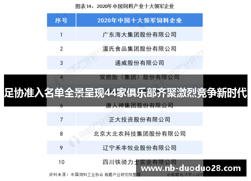 足协准入名单全景呈现44家俱乐部齐聚激烈竞争新时代