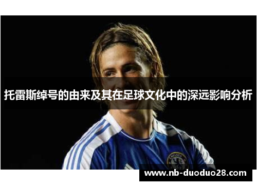 托雷斯绰号的由来及其在足球文化中的深远影响分析 托雷斯绰号的由来及其在足球文化中的深远影响分析