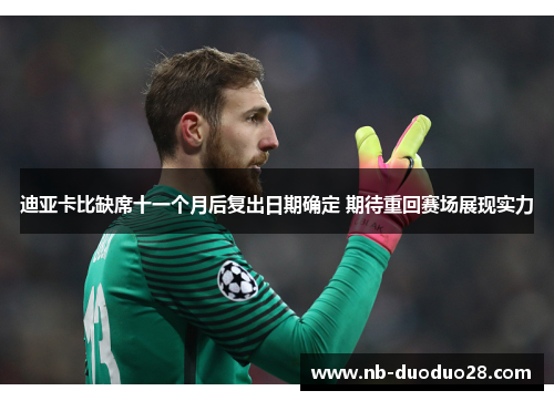 迪亚卡比缺席十一个月后复出日期确定 期待重回赛场展现实力